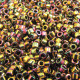 DBS0023 Bronze AB Metallic , Colour code 23 Size 15/0 Miyuki Delica Beads, 5.2g approx. DBS0023 Bronze AB Metallic , Colour code 23 Size 15/0 Miyuki Delica Beads, 5.2g approx.