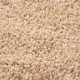 DBS0205 Ceylon Beige Miyuki 15/0 Miyuki Delica Beads, colour 0205, 5.2g approx. DBS0205 Ceylon Beige Miyuki 15/0 Miyuki Delica Beads, colour 0205, 5.2g approx.
