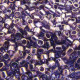 DBS0117 Lavender Blue Transp. Gold Luster , Colour code 117 Size 15/0 Miyuki Delica Beads, 5.2g approx. DBS0117 Lavender Blue Transp. Gold Luster , Colour code 117 Size 15/0 Miyuki Delica Beads, 5.2g approx.