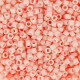 DBS1493 Opaque Light Salmon, 15/0 Miyuki Delica Beads, 5.2g approx. DBS1493 Opaque Light Salmon, 15/0 Miyuki Delica Beads, 5.2g approx.