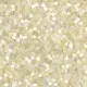 DB0672 Ivory Silk Satin, Size 11/0 Miyuki Delica Beads, 5.2g approx.