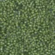 DB1786 White Lined Green AB size 11/0 Miyuki Miyuki Delica Beads, 5.2g approx.