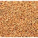 DB1833F Duracoat Galvanized Matte Yellow Gold, Colour Code 1833F, Size 11/0 Miyuki Delica Beads, 50gm wholesale bag