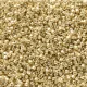 DB2501 Pale Gold Galvanised Duracoat, size 11/0 Miyuki Miyuki Delica Beads, 5.2g approx.