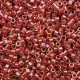 DB0283 Cranberry Lined Peridot Luster, Size 11/0 Miyuki Delica Beads, 5.2g approx.