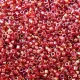 DB0296 Cranberry Red Lined-Dyed, Size 11/0 Miyuki Delica Beads, 5.2g approx.