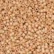 DB0389 Matte Opaque Light Terracotta, Size 11/0 Miyuki Delica Beads, 50g approx.