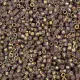 DB1011 Metallic Dusty Mauve Gold Iris Miyuki 11/0 Delica Beads, 5.2g Approx