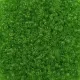 DB1106 Green Lime Transparent, Size 11/0 Miyuki Delica Beads, 5.2g approx.