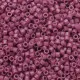 DB2118 Duracoat Opaque Dyed Antique Rose Size 11/0 Miyuki Delica Beads, 50gm bag
