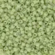 DB2123 Duracoat Opaque Fennel, Size 11/0 Miyuki Delica Beads, 5.2g approx