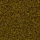 DB2141 Duracoat Opaque Dyed Olive, Size 11/0 Miyuki Delica Beads, 5.2g approx.