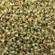 DB2262 Picasso Canary Yellow Matte, Size 11/0 Miyuki Delica Beads, 5.2gm