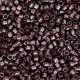 DB2390 Old Rose Fancy Lined Size 11/0 Miyuki Delica Beads, 5.2gm