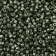 DB2512 Dark Steel Green Galvanised Duracoat, size 11/0 Miyuki Delica Beads, 5.2g approx.