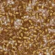 DB2524 Gold Plate Lined Champagne size 11/0 Miyuki Delica Beads, 3.3g approx.