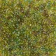 DB0989, Olive Green Forest, Size 11/0 Miyuki Delica Beads, 5.2g pack