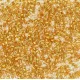 DB2521 Gold Plate Lined Royal size 11/0 Miyuki Delica Beads, 3.3g approx.